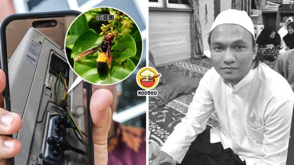 Man Bee String Before Wedding Ft Img