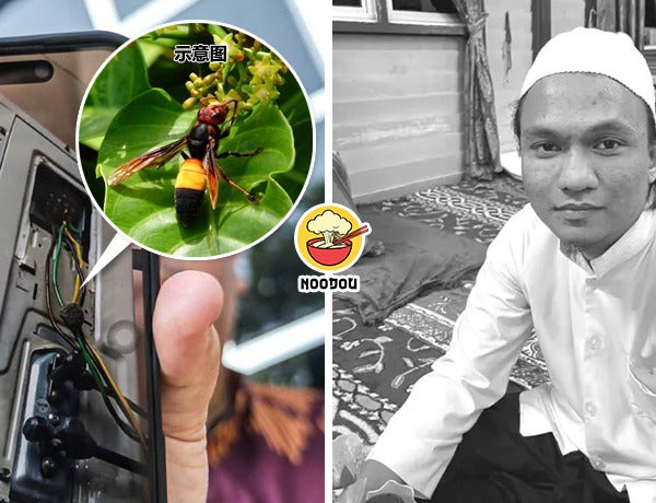 Man Bee String Before Wedding Ft Img