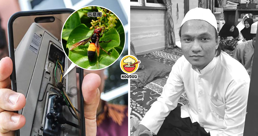 Man Bee String Before Wedding Ft Img