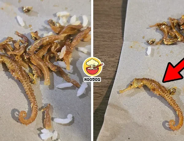 Nasi Lemak Seahorse Ft Img