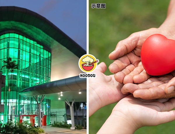 PPUM Green Light Meaning Ft Img