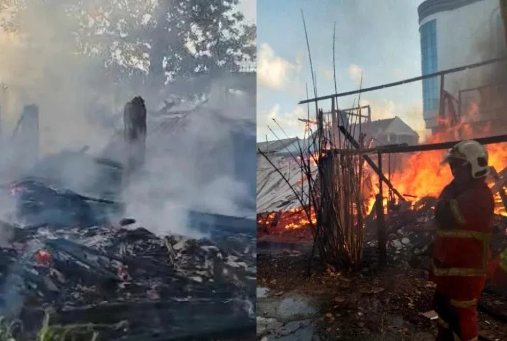 Api Bunga 火花火灾唯一幸存猫 3