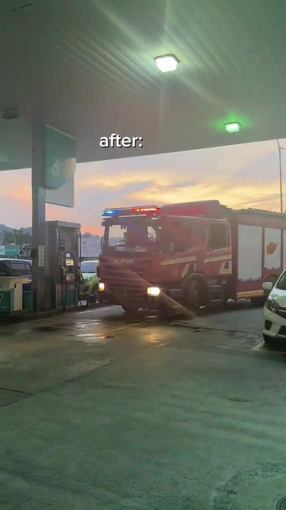 Cat Locked Itself In Car Bomba Help 4