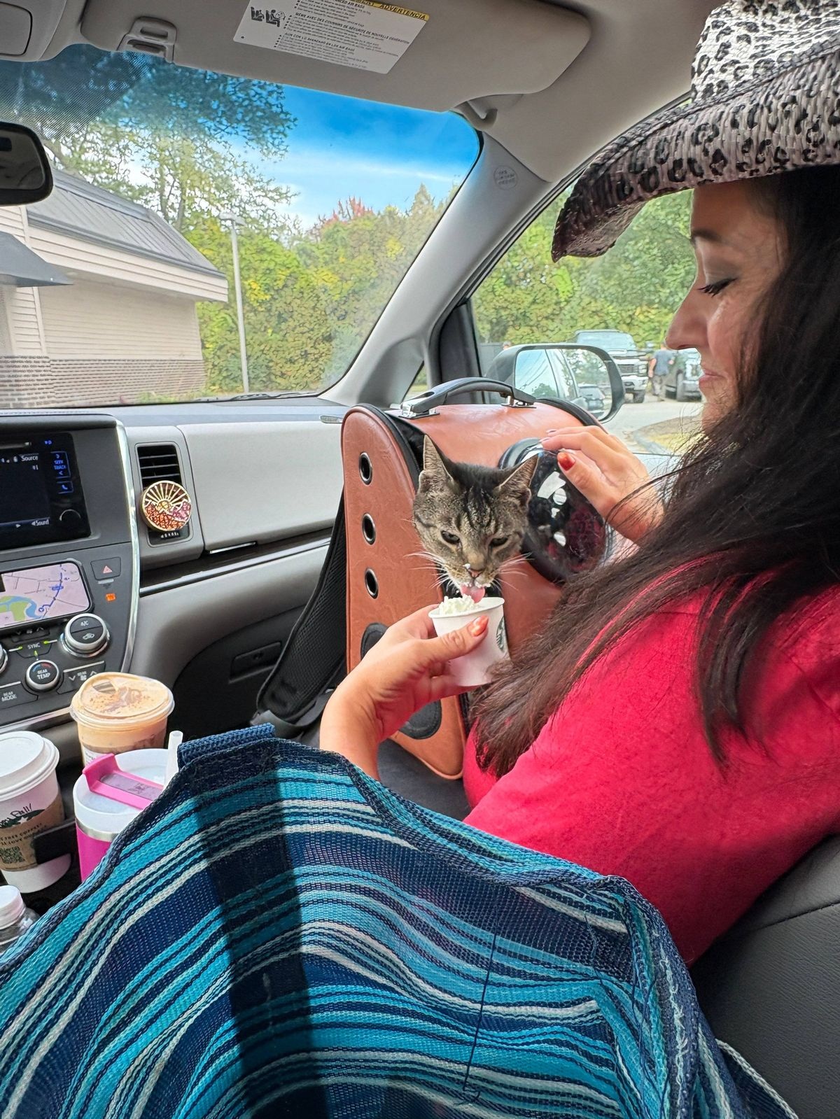ray ray holding onto the family vans roof for more than 160km 2