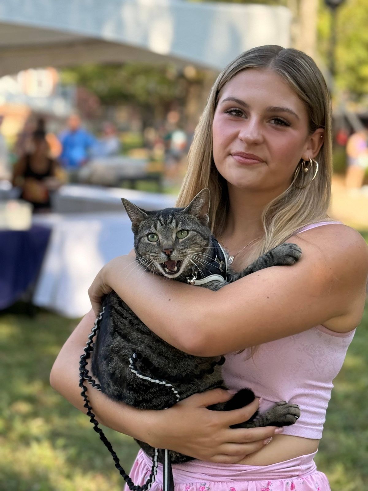 ray ray holding onto the family vans roof for more than 160km 5