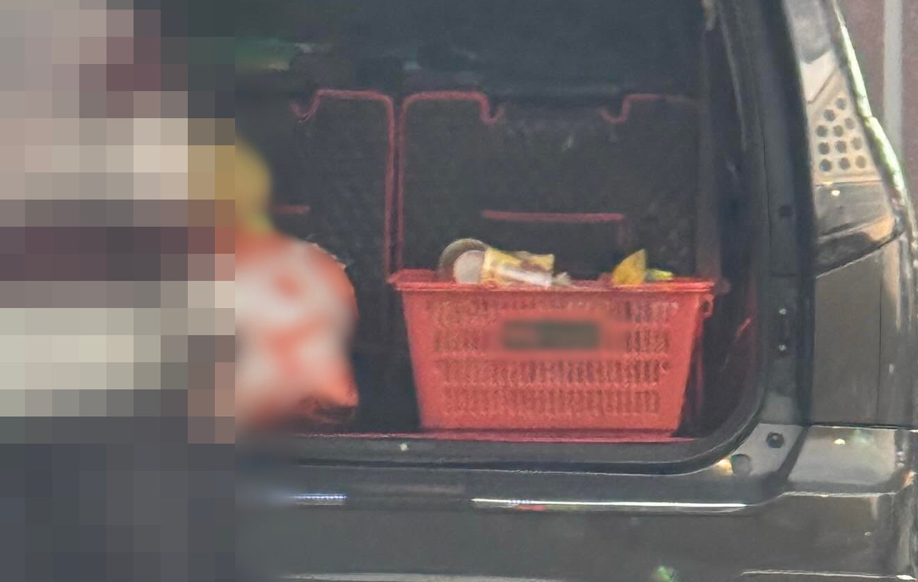 woman steal basket speedmart 2 1