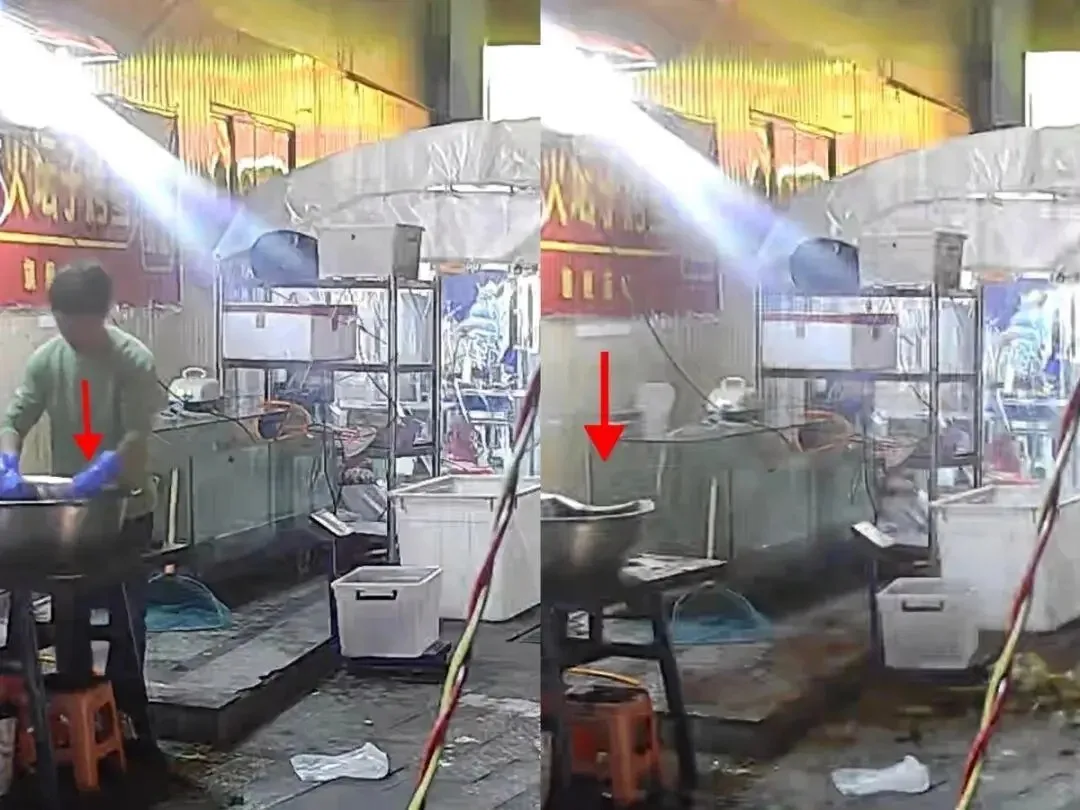 老板喂流浪猫躲过空中坠落的花盆