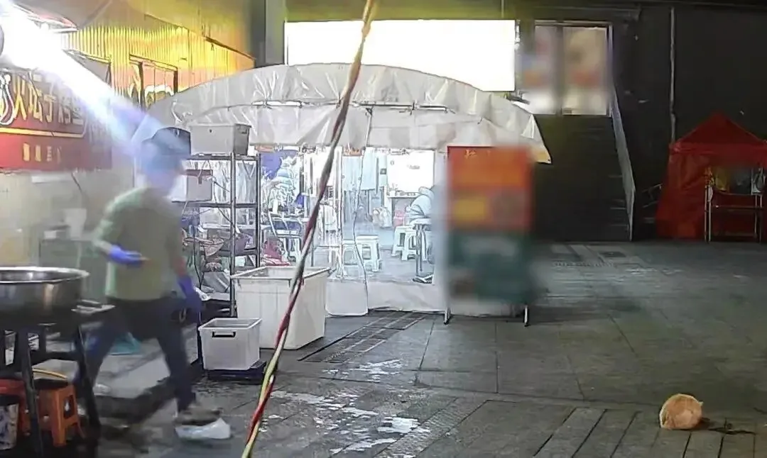 老板喂流浪猫躲过空中坠落的花盆2