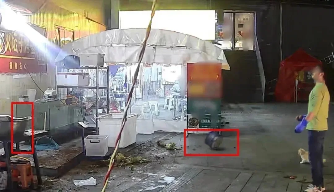 老板喂流浪猫躲过空中坠落的花盆3