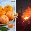 76.8 Tons Mandarin Orange Burned Ft Img