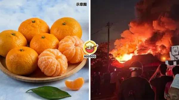 76.8 Tons Mandarin Orange Burned Ft Img