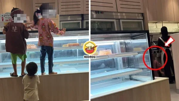 Kids Climb Cake Rack Ft Img