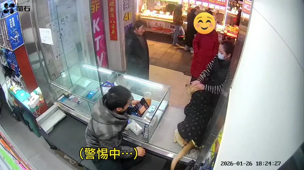 流浪汉摸狗狗后坚持付钱它没嫌弃我 3