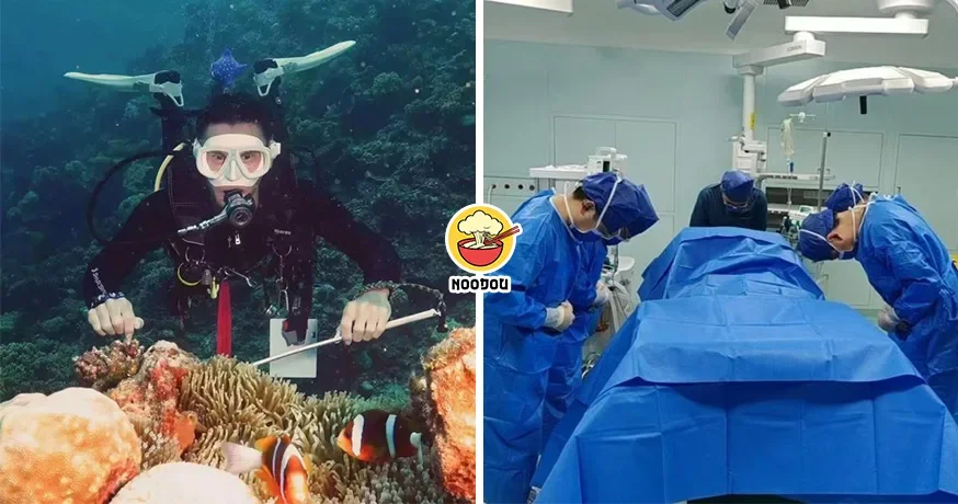 大马男子中国旅游意外脑死，捐赠器官给5人！网友：“开始把魔爪伸向外国人了”