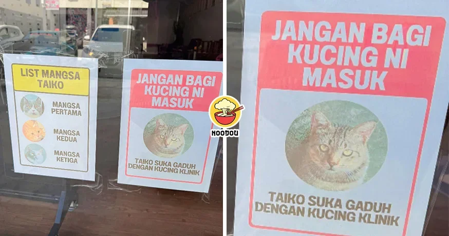 Cat Taiko No Entry Vet Ft Img