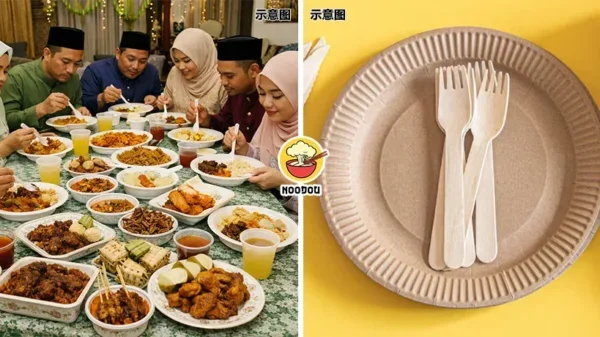 Disposable Plate Lazy Ft Img