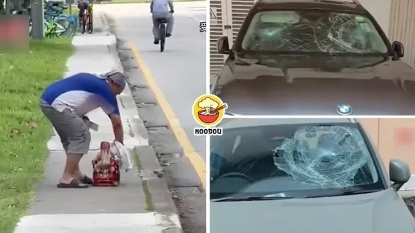 Hit 20 Cars Da Bo Gong Ft Img