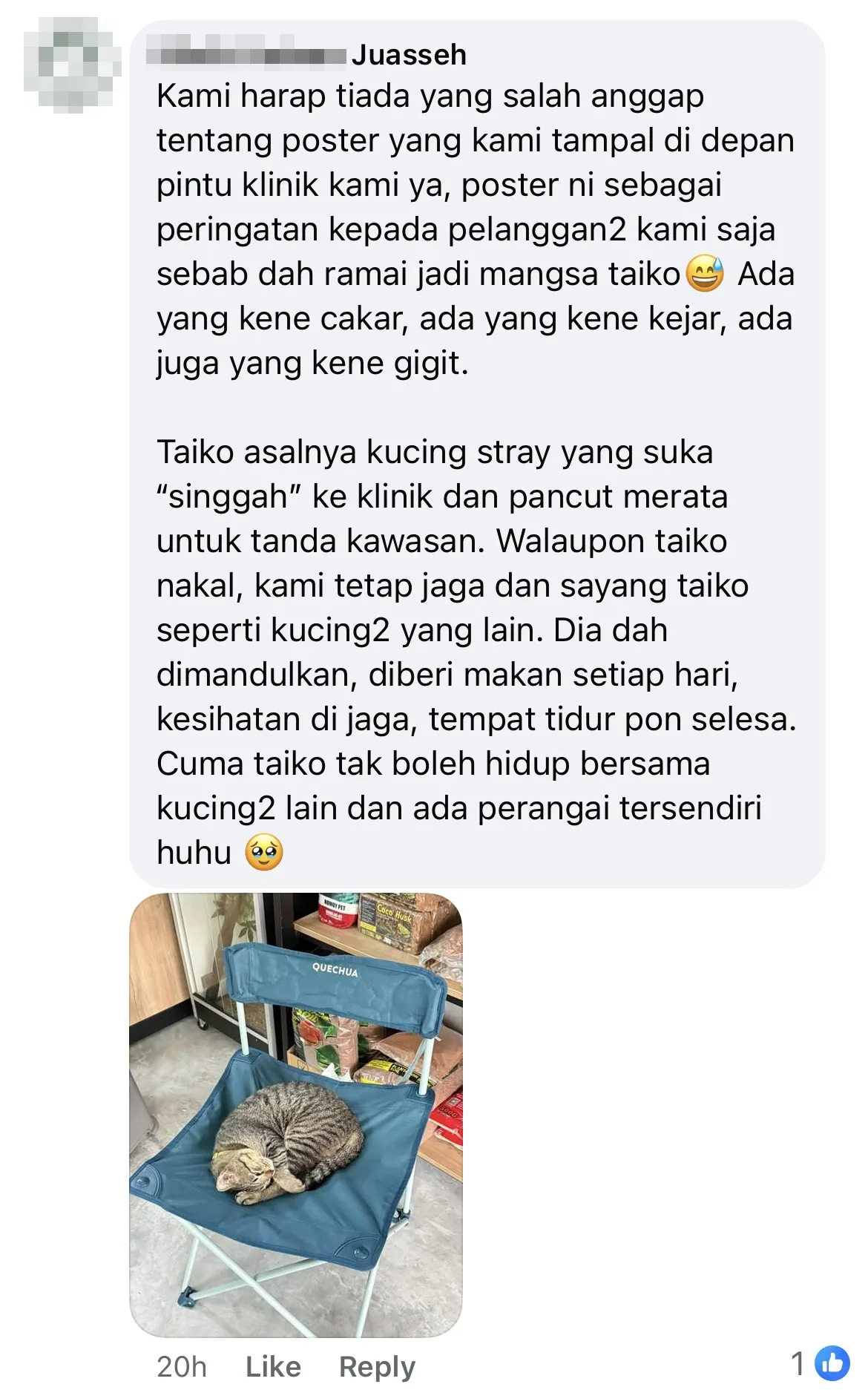 Cat Taiko No Entry Vet Comments Netizen 1