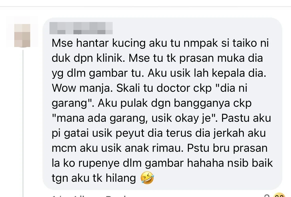 Cat Taiko No Entry Vet Comments Netizen 5