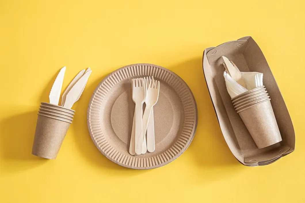 Disposable Cutleries Plate Spoon Fork Cup
