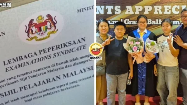 Tong Noodou Ft Img 25