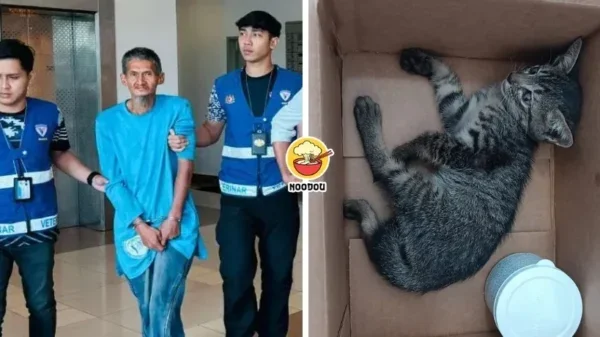 Tong Noodou Ft Img 28