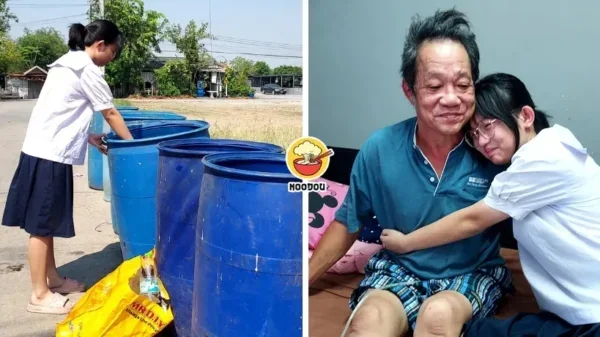 Tong Noodou Ft Img 39