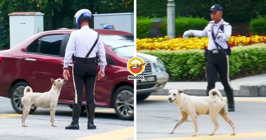 Tong Noodou Ft Img 40