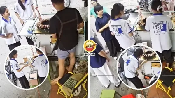 Tong Noodou Ft Img 46