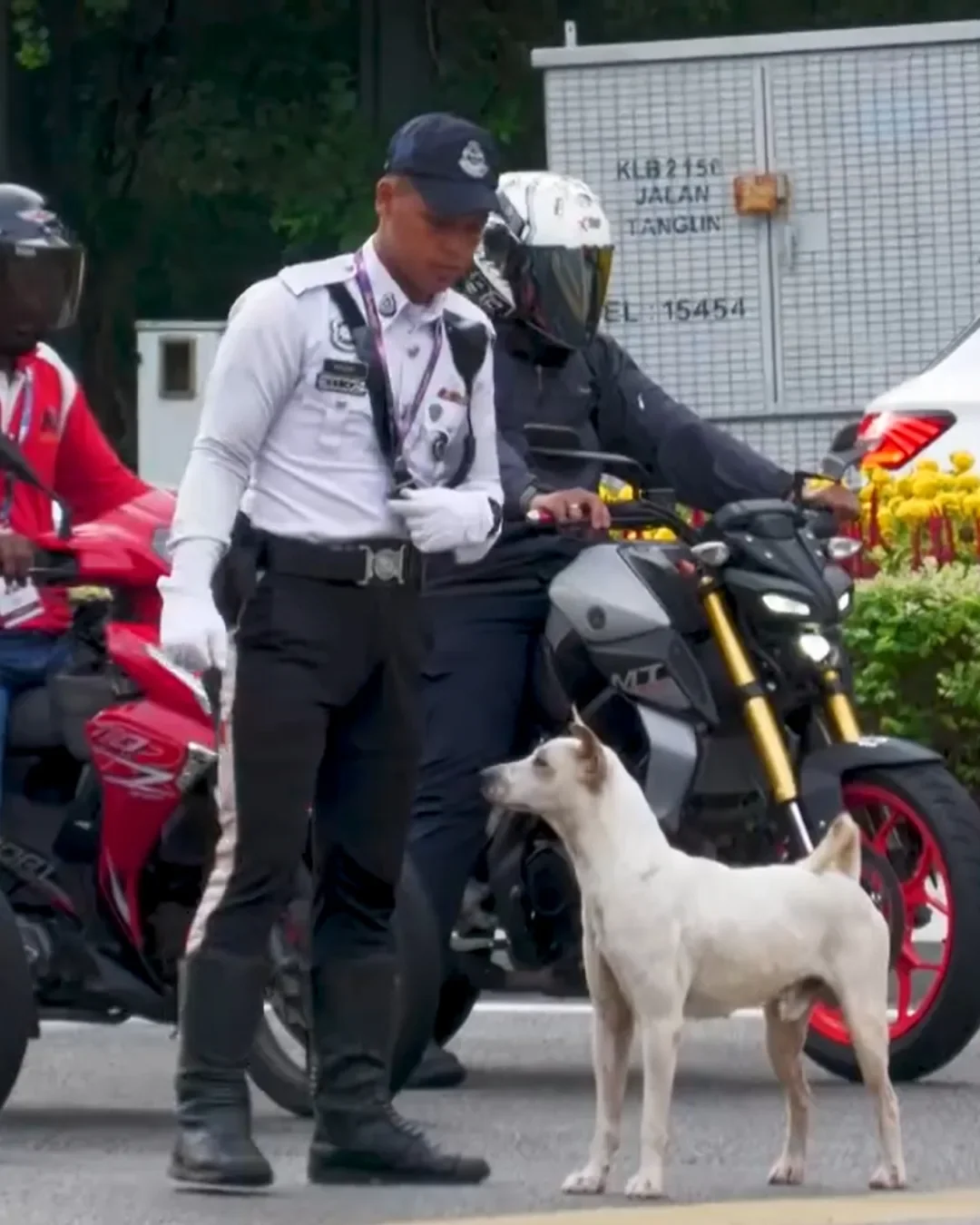 Tong Noodou Image Post 76