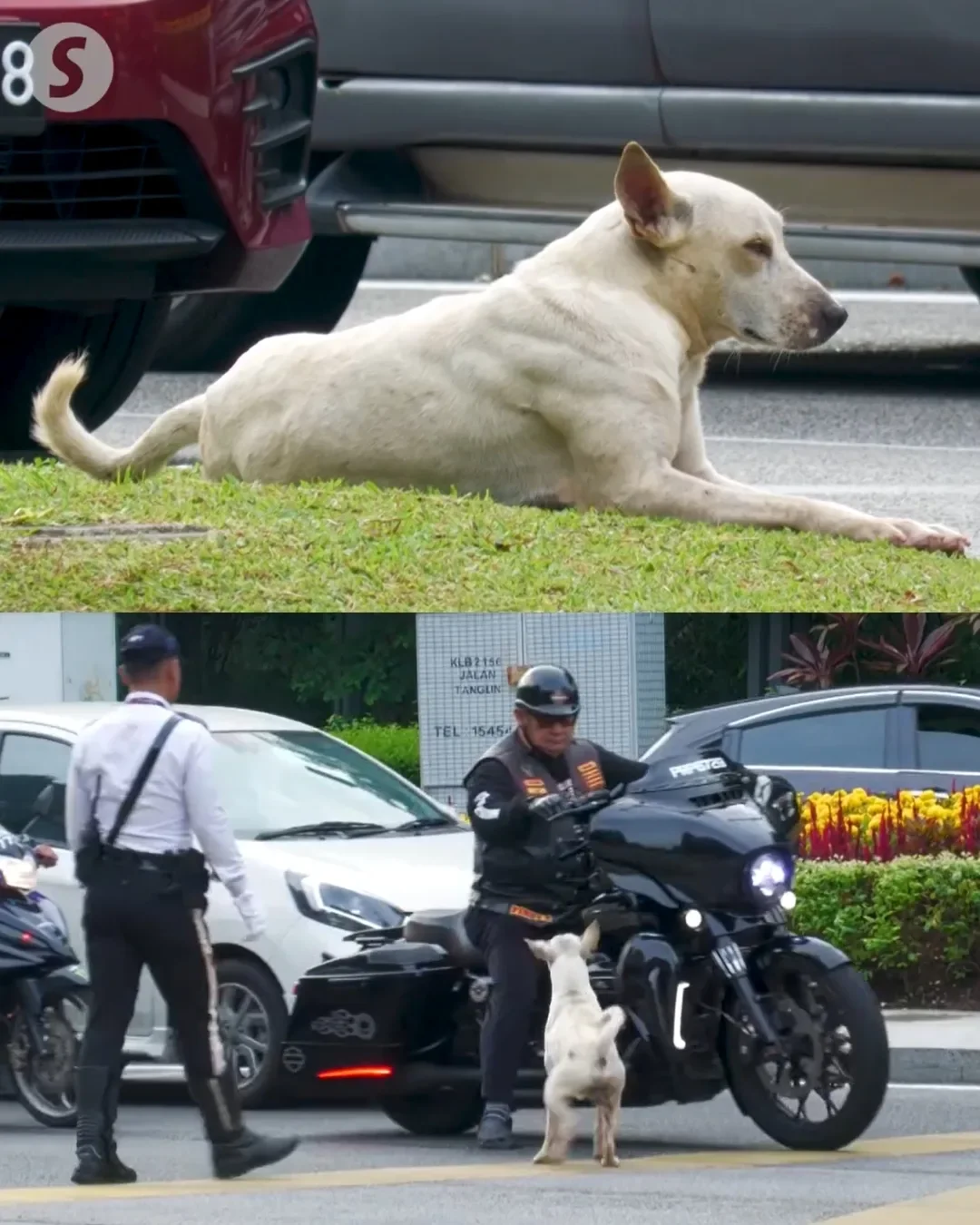 Tong Noodou Image Post 79