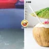 Thai Fake Coconut Water Ft Img