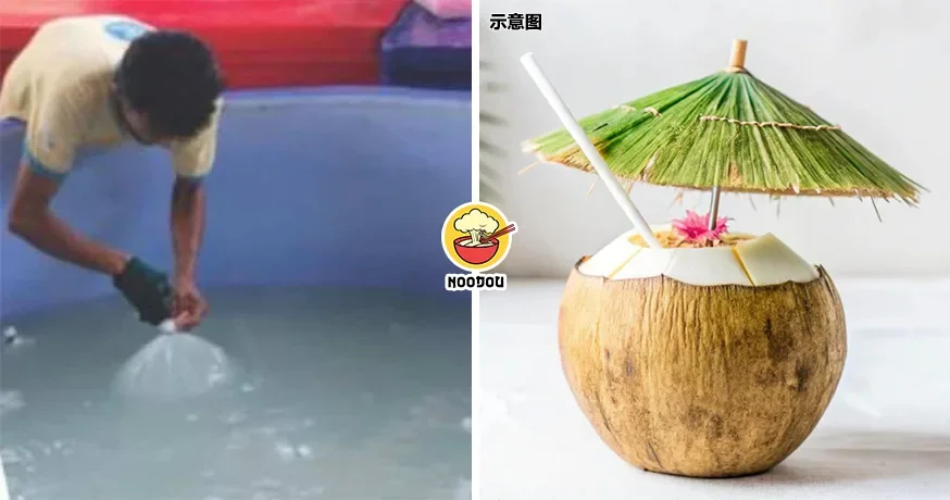 【连椰水都造假！】『清水+香精』当椰水卖，泰国2黑心工厂被揭穿！