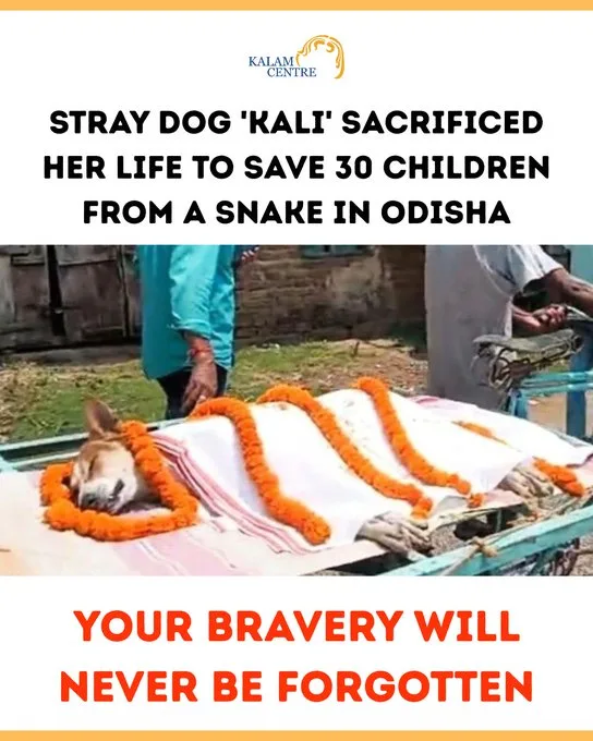 Kali
