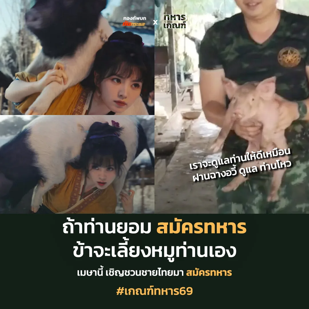 Thai Army Post 樊长玉养猪