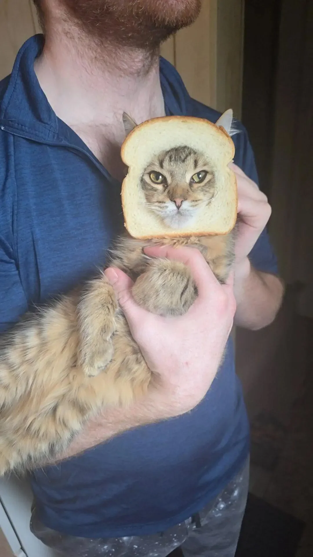 Toasty5