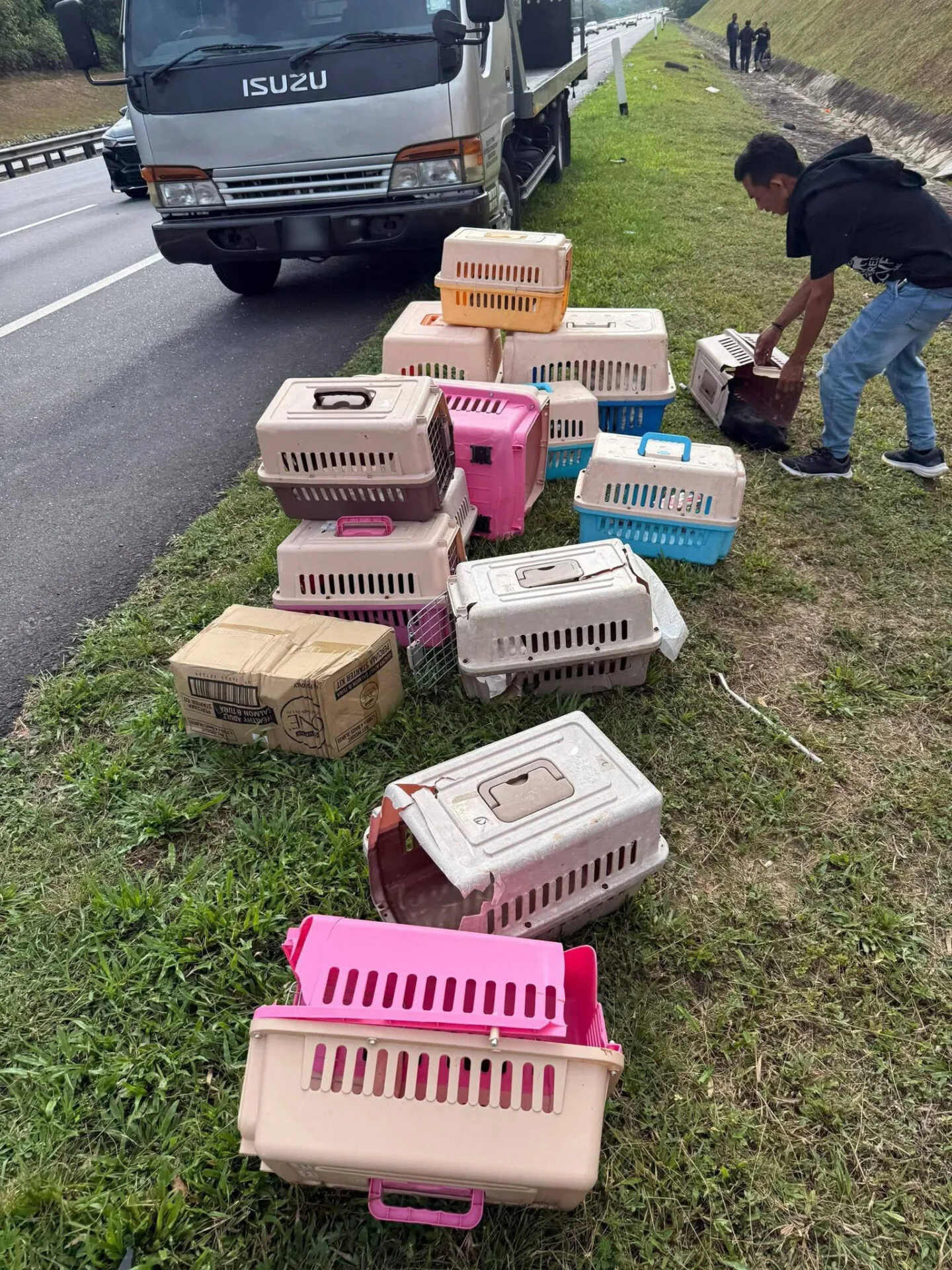 流浪动物收容所卡火车被撞翻车猫狗伤亡失踪女子痛哭 1 1