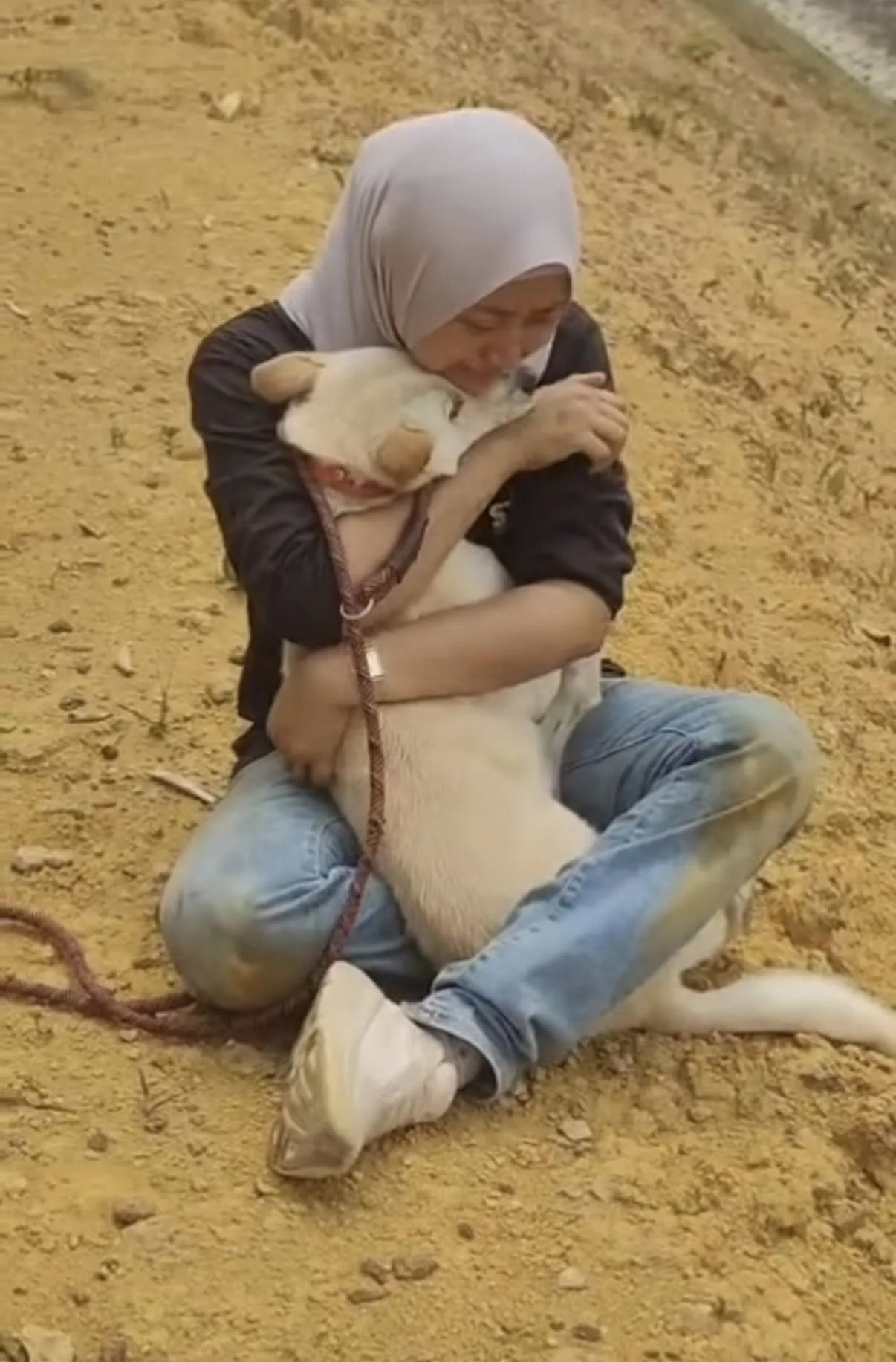 流浪动物收容所卡火车被撞翻车猫狗伤亡失踪女子痛哭 3