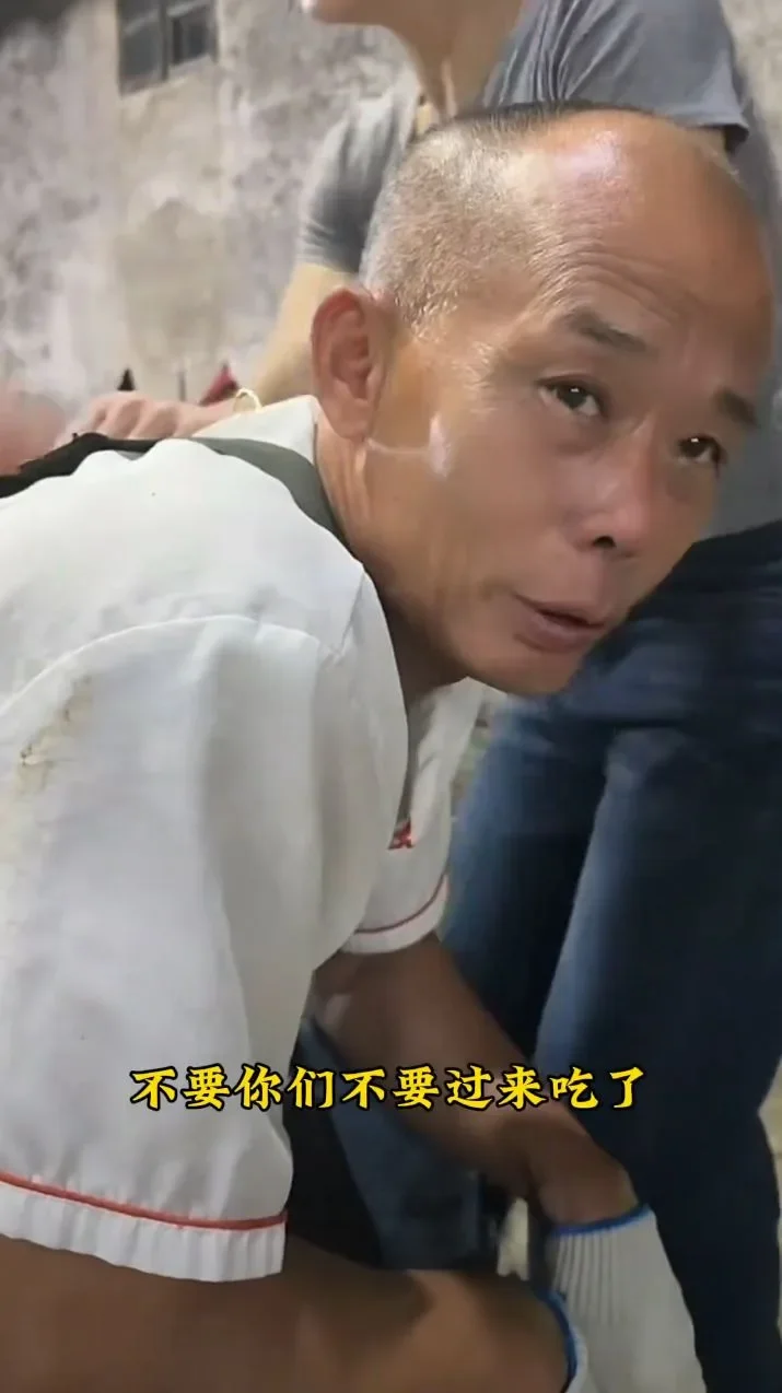老板4