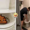Shit Ft Img
