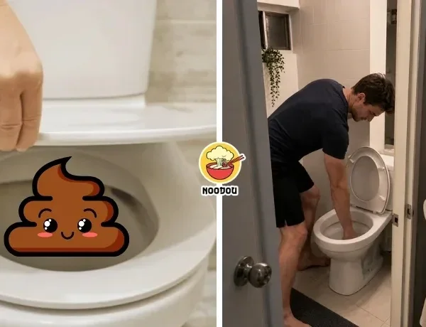 Shit Ft Img