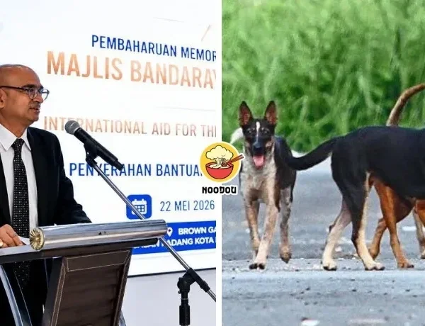 Street Dog Ft Img