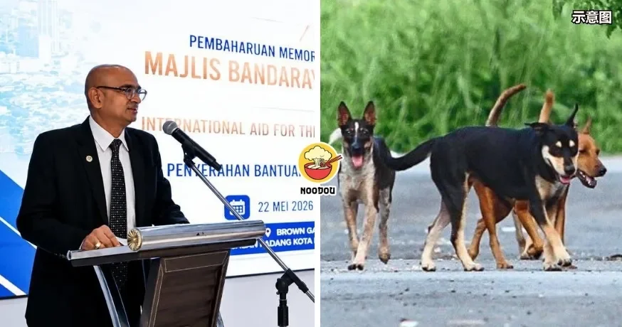 Street Dog Ft Img