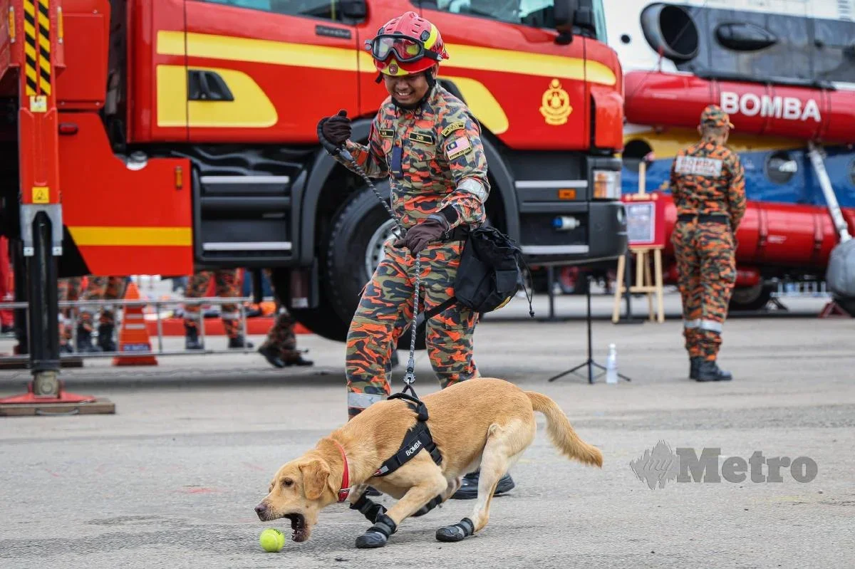 Ｋ９