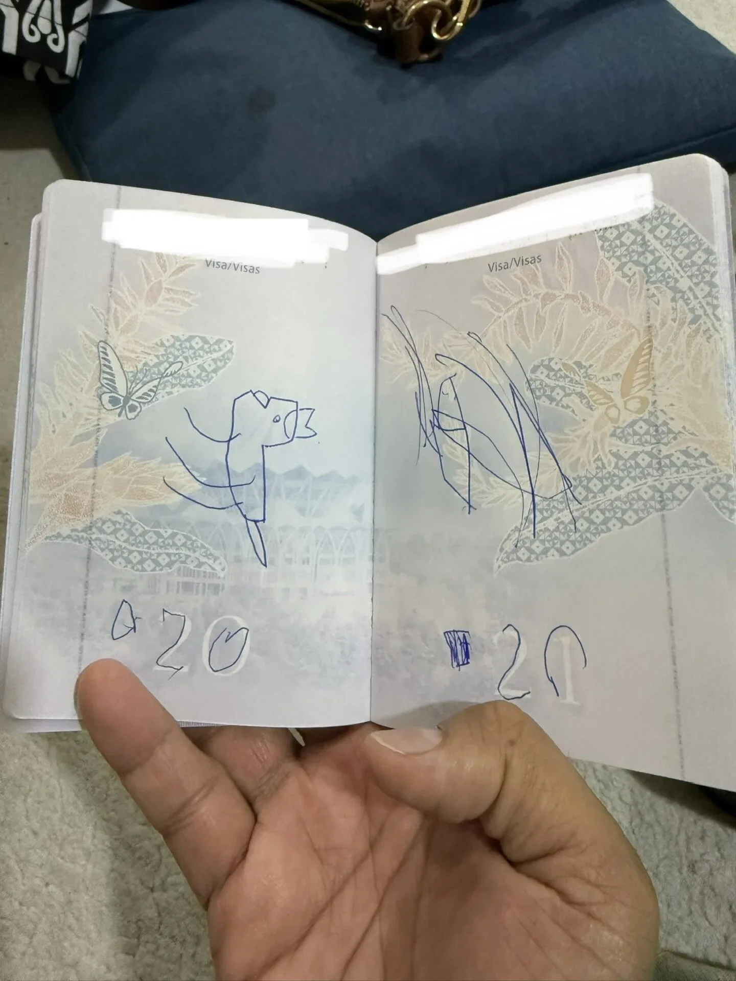 3岁儿子涂鸦护照画恐龙损坏不能出国改机票 3