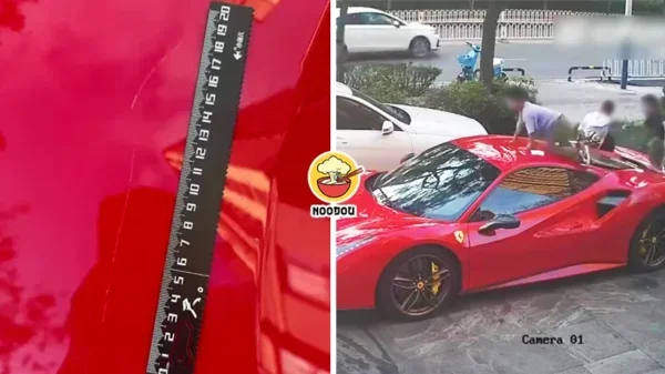 4 Kid Climb Ferrari Ft