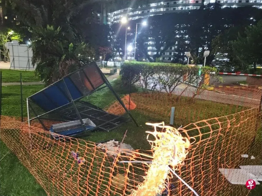 51岁男子觉得乌鸦受困捕鸟器可怜孤独破坏鸟笼放生被判坐牢24天 2