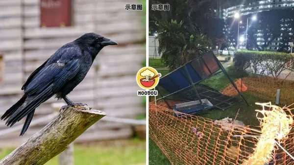 Kesian Crow Jailed Ft