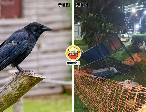 Kesian Crow Jailed Ft