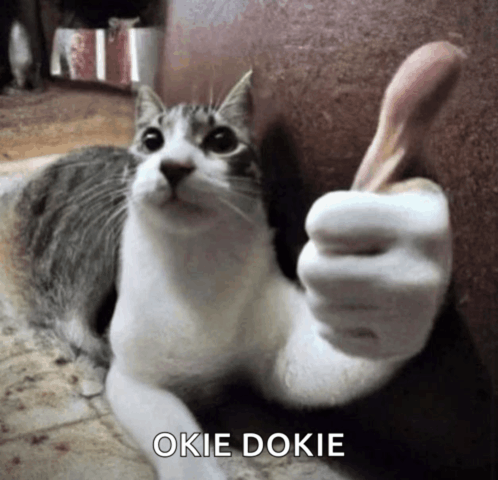 Okey Dokey Cat